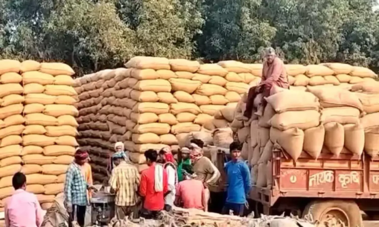 खरीफ विपणन वर्ष 2025-26 : 23.48 लाख किसानों से धान खरीदी, ₹29,597 करोड़ का भुगतान