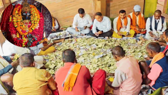 माँ दंतेश्वरी के दरबार से मिले 19 लाख, प्रेम और सफलता की अर्जियां चार साल बाद खुली दानपेटी