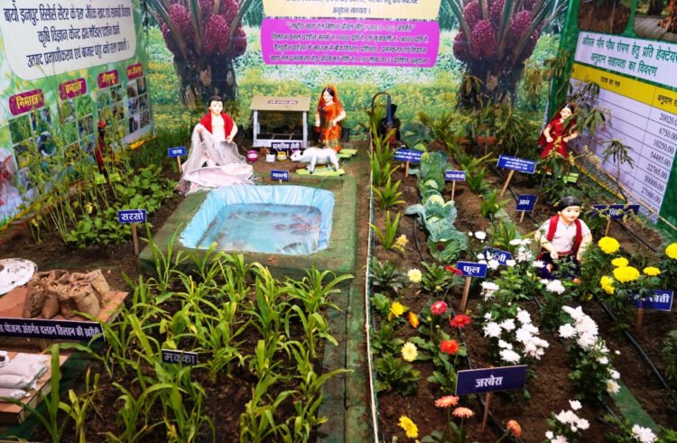 राजिम कुंभ कल्प में आधुनिक खेती का संदेश, उद्यानिकी स्टॉल में पाम फल बना आकर्षण का केंद्र