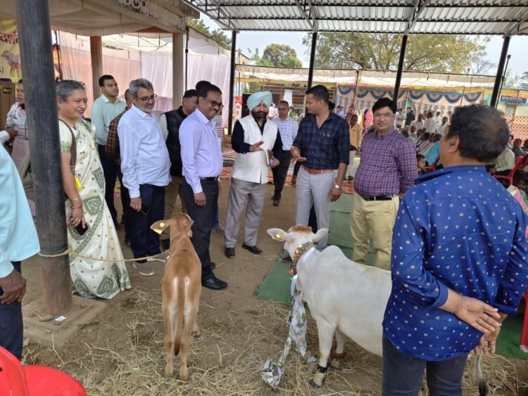 केन्द्रीय पर्यवेक्षकों ने छत्तीसगढ़ में पशुधन योजनाओं का लिया फीडबैक,प्रदेश में पशुधन योजनाओं के बेहतर क्रियान्वयन कि सराहना की