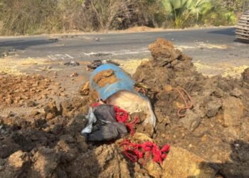 जिले के अलग अलग थाना क्षेत्र में जवानों ने किया आईईडी बरामद