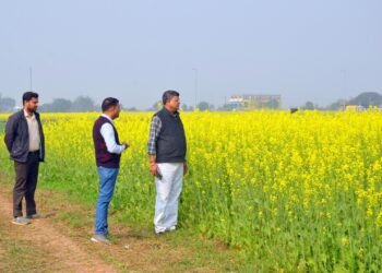 धान-परती भूमि में सरसों की खेती से किसानों की अच्छी आय संभव: डॉ. पी.के. राय