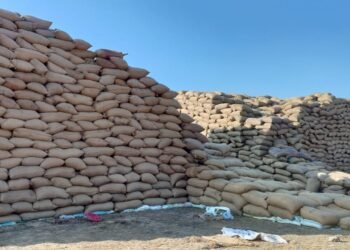 छत्तीसगढ़ का सबसे बड़ा धान घोटाला, सवारावा खरीदी केंद्र से 32838 क्विंटल धान गायब