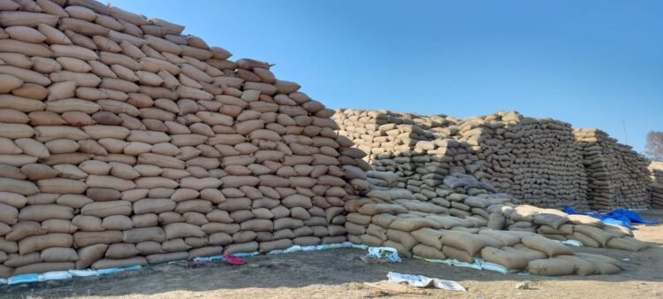 छत्तीसगढ़ का सबसे बड़ा धान घोटाला, सवारावा खरीदी केंद्र से 32838 क्विंटल धान गायब