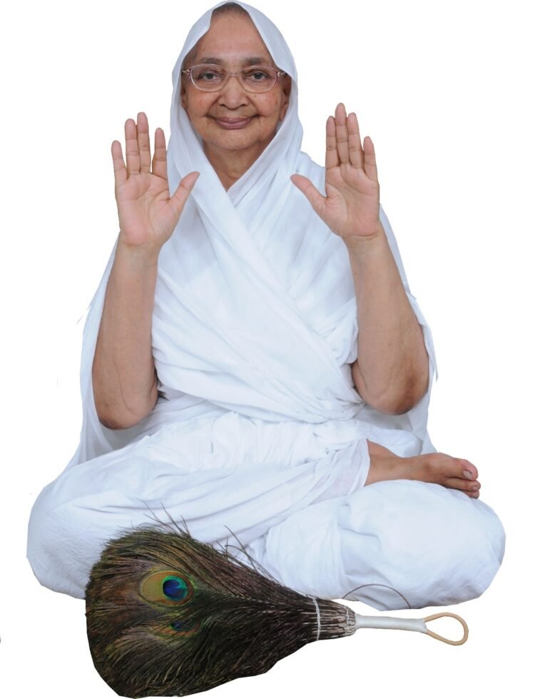 भगवान ऋषभदेव द्वारा ब्राह्मी-सुन्दरी का विद्याध्ययन : भारतगौरव गणिनी प्रमुख श्री ज्ञानमती माताजी