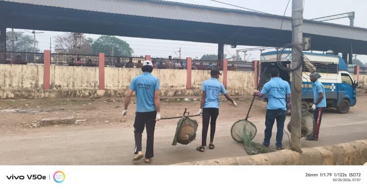 दक्षिण पूर्व मध्य रेलवे रायपुर रेल मंडल के रायपुर स्टेशन पर रेलवे स्टेशन परिसर में आवारा कुत्तों की धरपकड़ अभियान