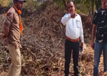 रेलवे ट्रैक में मादा चीतल की लाश मिली, मालगाड़ी से कटने की आशंका