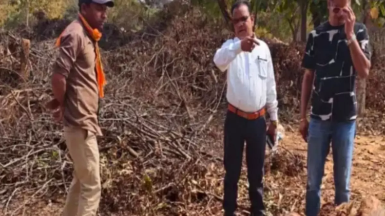 रेलवे ट्रैक में मादा चीतल की लाश मिली, मालगाड़ी से कटने की आशंका