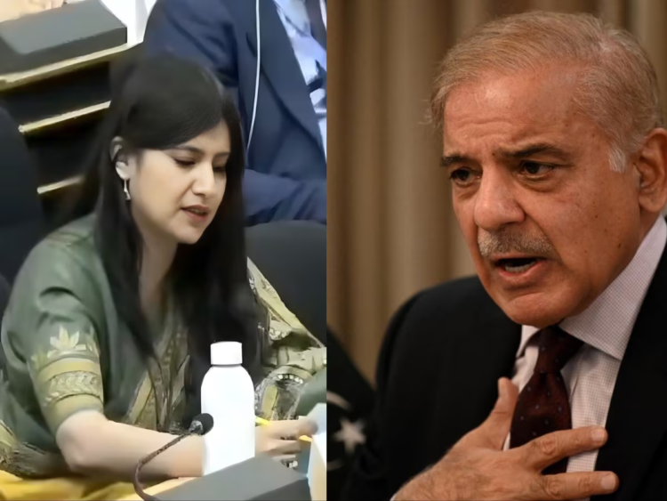 जम्मू-कश्मीर का बजट आपको आईएमएफ से मिले पैकेज से भी ज्यादा’, यूएन में भारत ने पाकिस्तान को दिखाया आईना