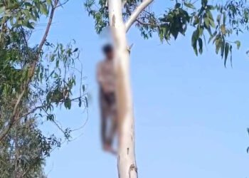 गौरेला-पेण्ड्रा-मरवाही में दर्दनाक घटना: शादी टलने से आहत प्रेमी युगल ने उठाया आत्मघाती कदम