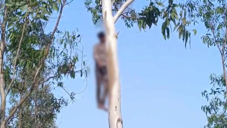 गौरेला-पेण्ड्रा-मरवाही में दर्दनाक घटना: शादी टलने से आहत प्रेमी युगल ने उठाया आत्मघाती कदम