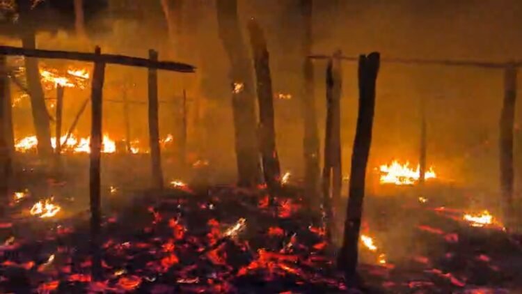 मैनपाट के टाइगर पॉइंट में भीषण आग, दर्जनों दुकानें जलकर खाक