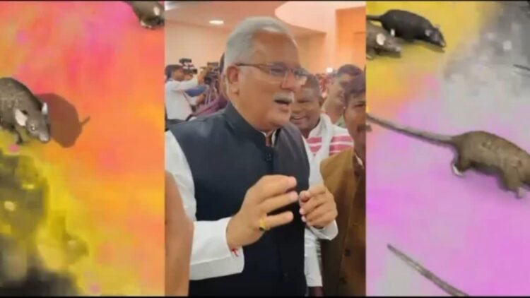 भूपेश की सुरमई तान, चूहों के नाम और 7 करोड़ का धान, छत्तीसगढ़ में छिड़ा सियासी फाग