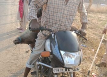 अवैध शिकार के खिलाफ वन विभाग की बड़ी कार्रवाई, सात आरोपी गिरफ्तार