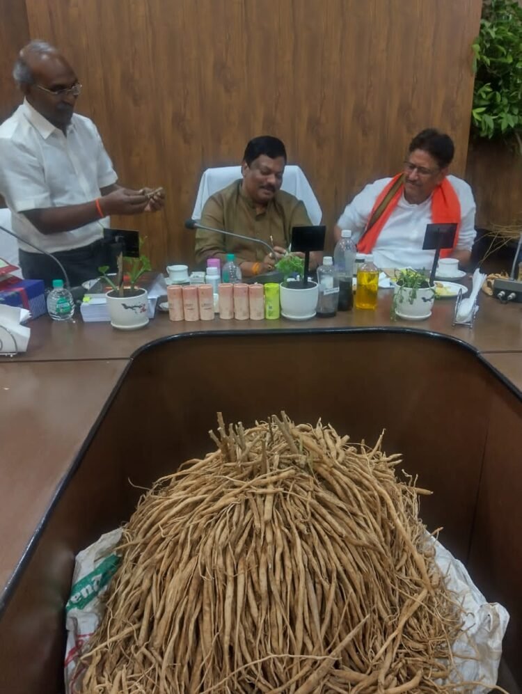 छत्तीसगढ़ आदिवासी, स्थानीय स्वास्थ्य परंपरा एवं औषधि पादप बोर्ड की समीक्षा बैठक सम्पन्न, बस्तर और सरगुजा में औषधीय पौधों की योजनाओं का होगा विस्तार : विकास मरकाम