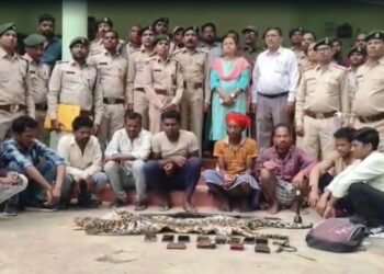 तेंदुए की खाल की तस्करी पर वन विभाग की बड़ी कार्रवाई, 9 आरोपी गिरफ्तार