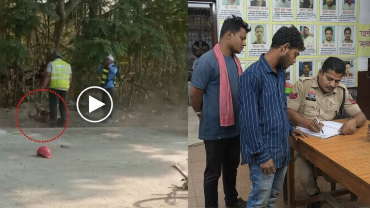 अंबुजा अडानी सीमेंट प्लांट में क्रूरता, आम तोड़ने पर बच्चे की पिटाई