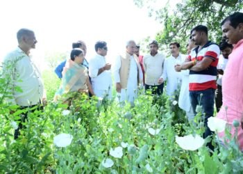 दुर्ग में अफीम की खेती मामले में हो उच्च स्तरीय जांच:भूपेश बघेल