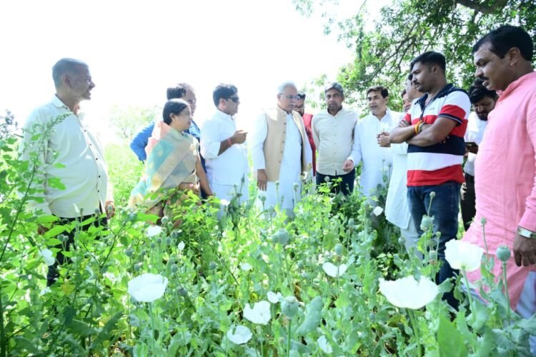 दुर्ग में अफीम की खेती मामले में हो उच्च स्तरीय जांच:भूपेश बघेल