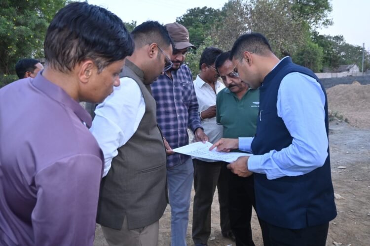 कलेक्टर एवं नगर पालिका अध्यक्ष ने शहर में विकास कार्यो का लिया जायजा