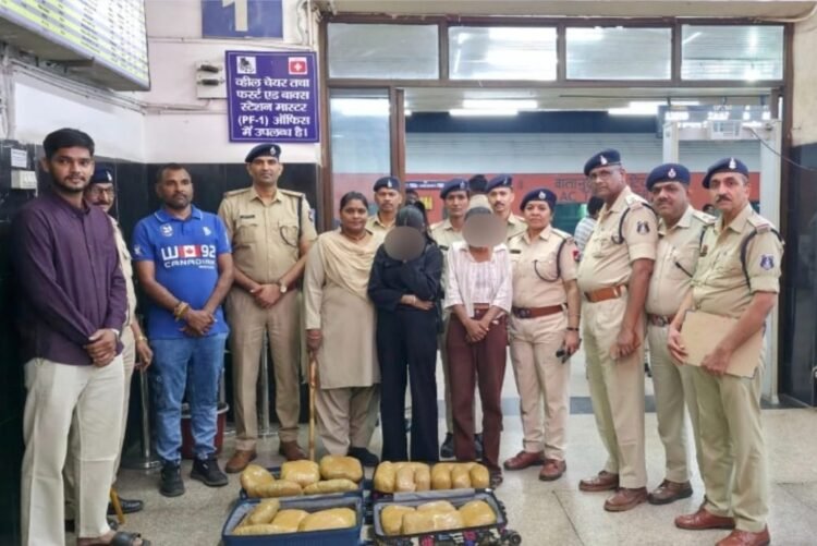 बिलासपुर RPF का बड़ा एक्शन: टिकट दलालों, नशा तस्करों और अवैध वेंडरों पर शिकंजा