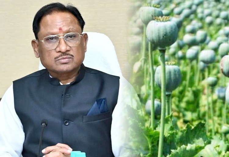 अफीम की अवैध खेती पर मुख्यमंत्री विष्णु देव साय का कड़ा रुख, सभी कलेक्टरों को सर्वे कर 15 दिवस में प्रमाण पत्र सहित रिपोर्ट देने के निर्देश