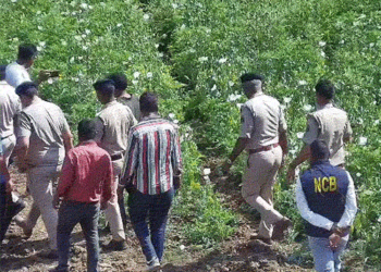 भाजपा नेता विनायक ताम्रकर गिरफ्तार, अफीम की खेती मामले में एनसीबी की भी एंट्री