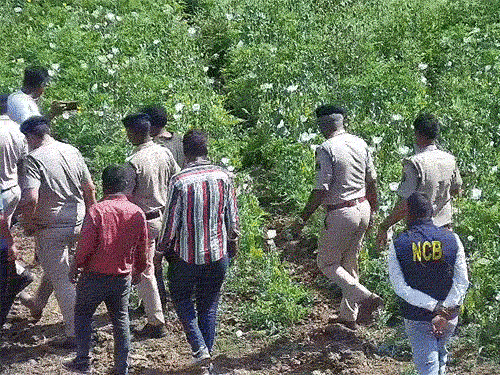 भाजपा नेता विनायक ताम्रकर गिरफ्तार, अफीम की खेती मामले में एनसीबी की भी एंट्री