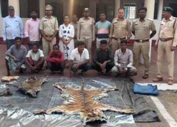 सिस्टम पर सवाल: जिन पर सुरक्षा की जिम्मेदारी, वही बने शिकारियों के साथी