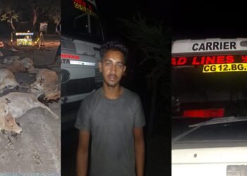 जांजगीर में दर्दनाक हादसा, तेज रफ्तार हाइवा ने 12 मवेशियों को कुचला