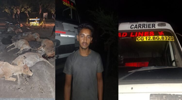 जांजगीर में दर्दनाक हादसा, तेज रफ्तार हाइवा ने 12 मवेशियों को कुचला