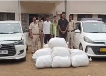 महासमुंद में नशे के खिलाफ बड़ी कार्रवाई: 685 किलो गांजा जब्त, 13 तस्कर गिरफ्तार