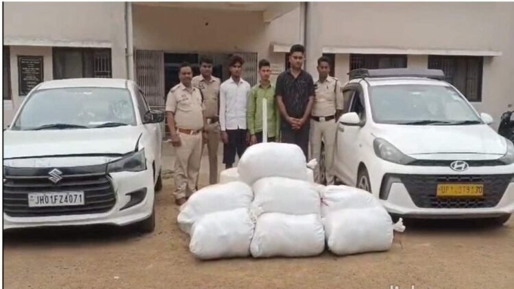 महासमुंद में नशे के खिलाफ बड़ी कार्रवाई: 685 किलो गांजा जब्त, 13 तस्कर गिरफ्तार