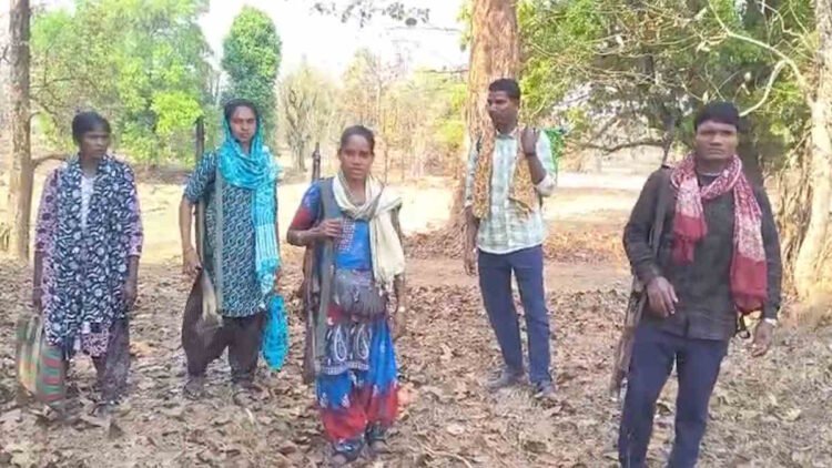 पापा राव के बाद जारी सरेंडर का सिलसिला, कांकेर में 5 नक्सली करेंगे आत्मसमर्पण