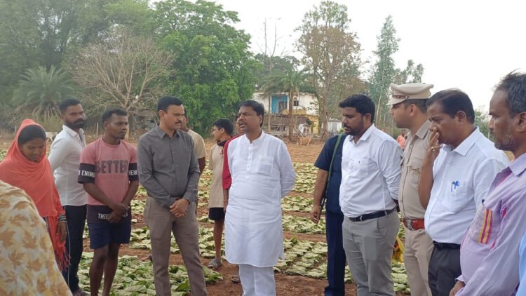 वन मंत्री केदार कश्यप ने दहिकोंगा तेंदूपत्ता फड़ का किया निरीक्षण,वन मंत्री ने संग्राहकों से किया सीधा संवाद