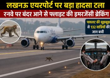 लखनऊ एयरपोर्ट पर बड़ा हादसा टला, रनवे पर बंदर आने से फ्लाइट की इमरजेंसी ब्रेकिंग