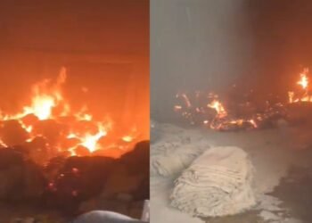 अजीबी एग्रो राइस मिल में आग, लाखों का नुकसान