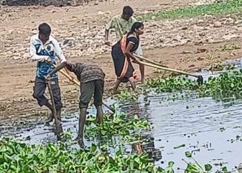 भिलाई निगम का स्वच्छता अभियान तेज, तालाबों और नालों की युद्ध स्तर पर सफाई