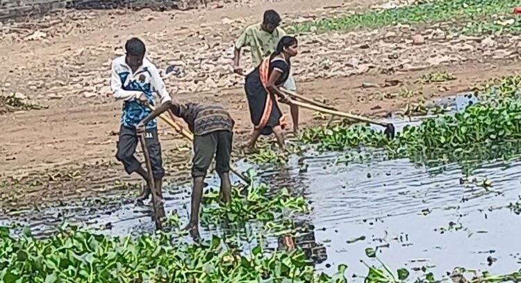 भिलाई निगम का स्वच्छता अभियान तेज, तालाबों और नालों की युद्ध स्तर पर सफाई