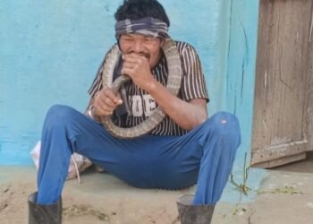जान जोखिम में डालकर सांप से खेलता युवक, वीडियो सोशल मीडिया पर वायरल