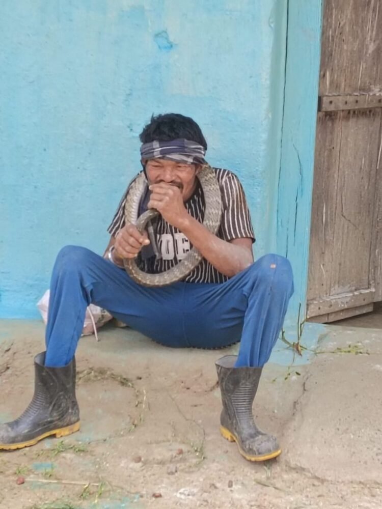 जान जोखिम में डालकर सांप से खेलता युवक, वीडियो सोशल मीडिया पर वायरल