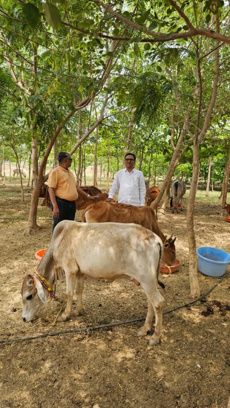 विश्व पृथ्वी दिवस पर मनोहर गौशाला का संदेश, 12 साल से तालाब-जंगल बनाकर धरती संरक्षण की मिसाल