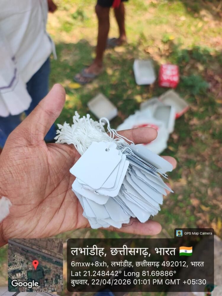 बल्क प्लांटेशन का सर्वे शुरू, लाभांडी में पौधों की गणना जारी