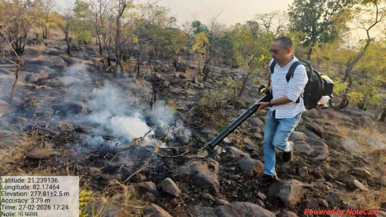 महासमुंद में वन विभाग की सख्ती, जंगलों में आग की घटनाओं में भारी कमी