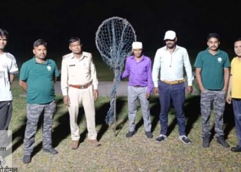रिहायशी इलाके में पहुंचा तेंदुआ, रायगढ़ में अलर्ट, वन विभाग सर्चिंग में जुटा