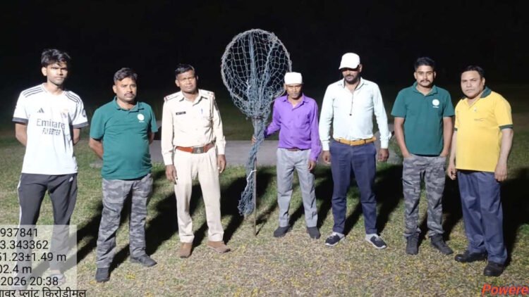 रिहायशी इलाके में पहुंचा तेंदुआ, रायगढ़ में अलर्ट, वन विभाग सर्चिंग में जुटा