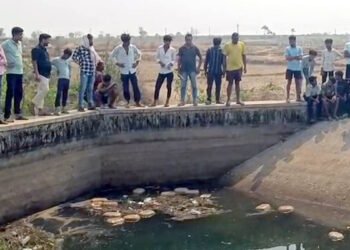 गरियाबंद में गांजा तस्करों का नया तरीका, नहर में बहाए पैकेट
