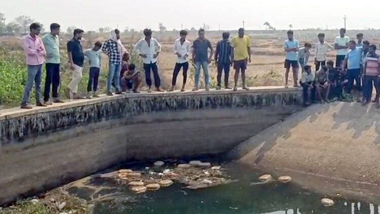 गरियाबंद में गांजा तस्करों का नया तरीका, नहर में बहाए पैकेट