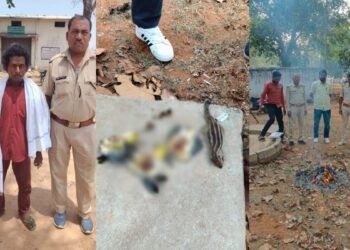 वन विभाग की बड़ी कार्रवाई: चिड़िया और गिलहरी के शिकार में 5 शिकारी गिरफ्तार