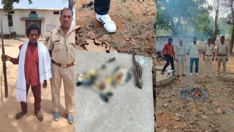 वन विभाग की बड़ी कार्रवाई: चिड़िया और गिलहरी के शिकार में 5 शिकारी गिरफ्तार